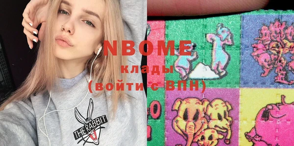 шишки Апатиты