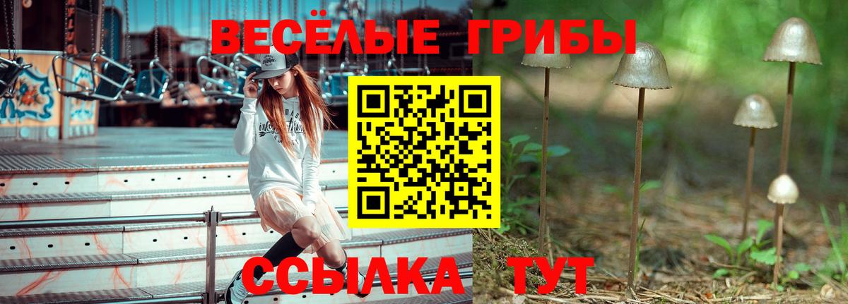 Псилоцибиновые грибы Cubensis Карабулак