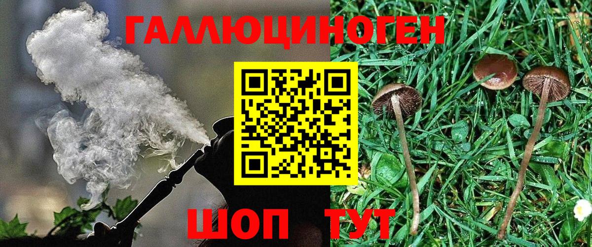 Карабулак  Галлюциногенные грибы Magic Shrooms  Галлюциногенные грибы прущие грибы  Вход с VPN 